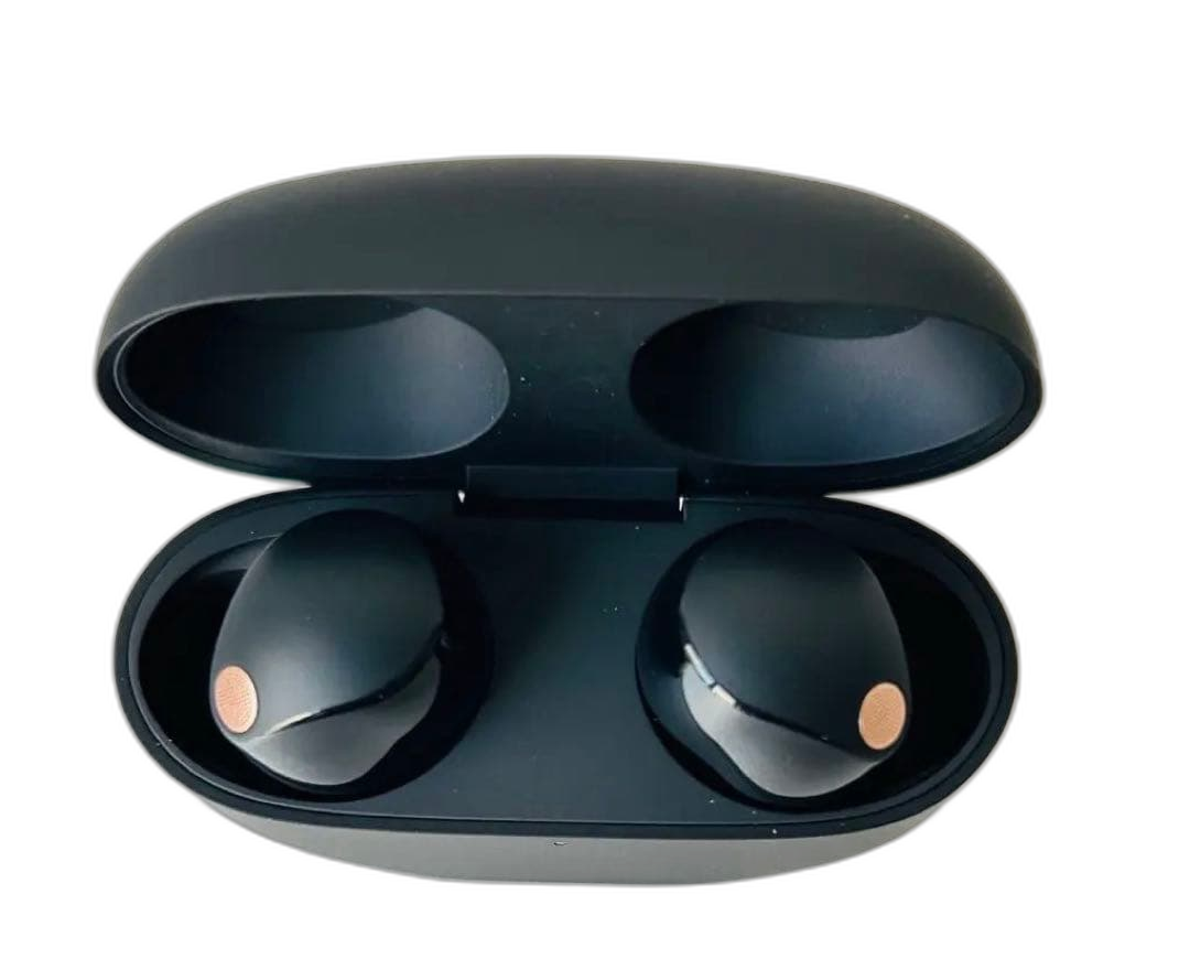 Sony Wireless Earphone Wf-1000Xm5