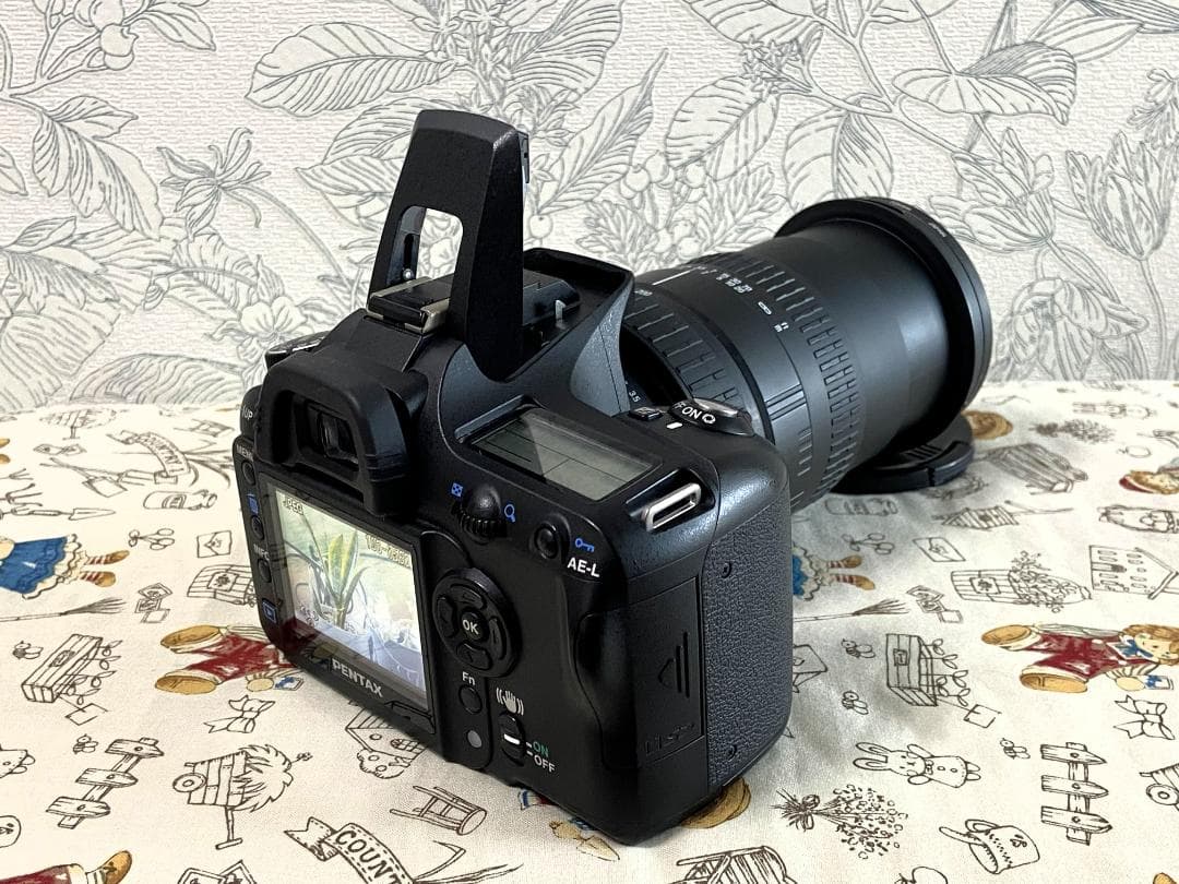 Pentax Digital Slrs K-100D