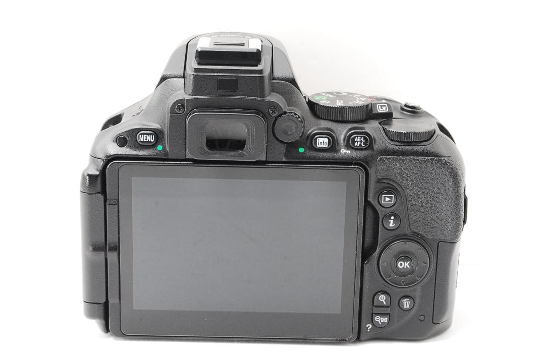 Nikon Digital Slrs D5500