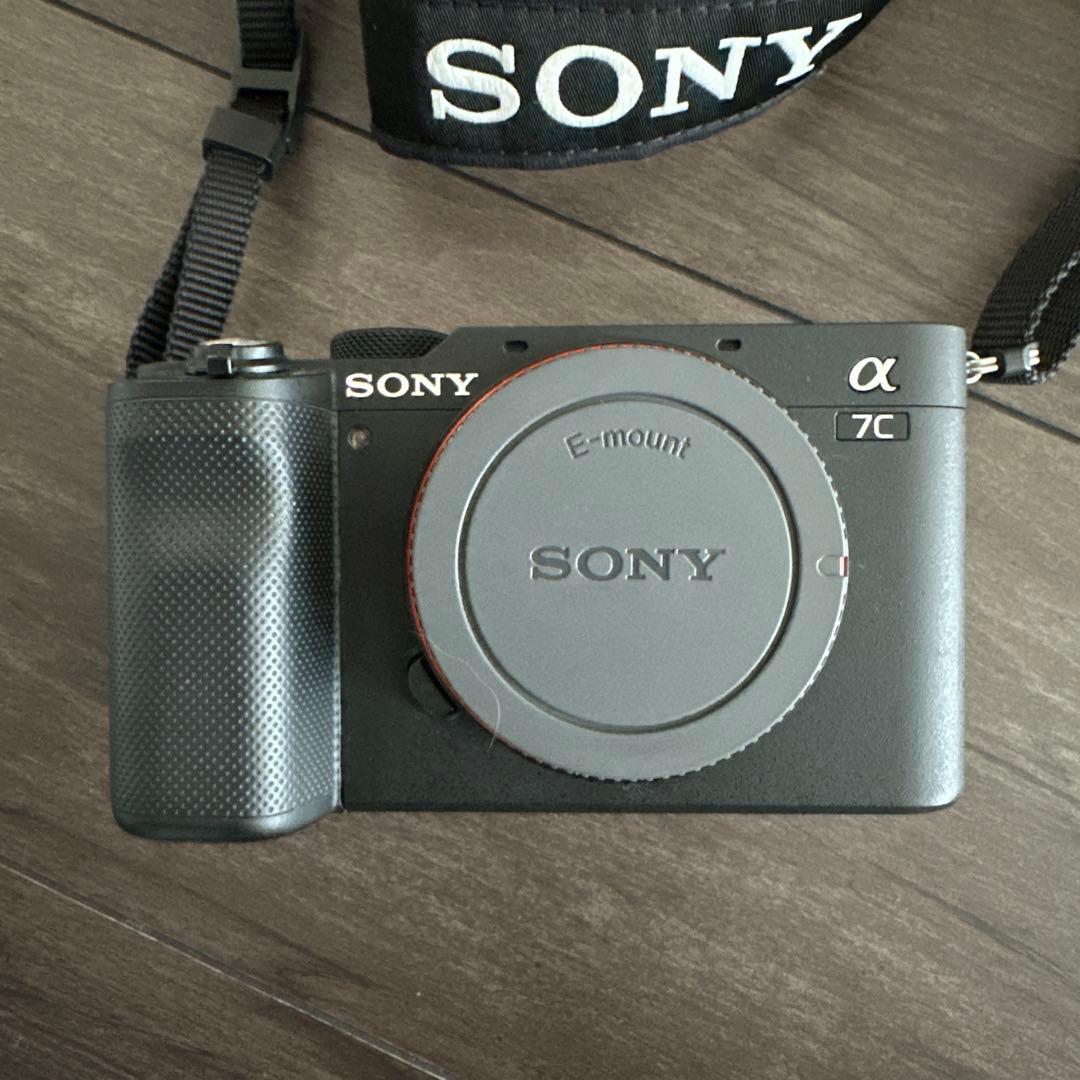 Sony Mirrorless Interchangeable Lips 7C
