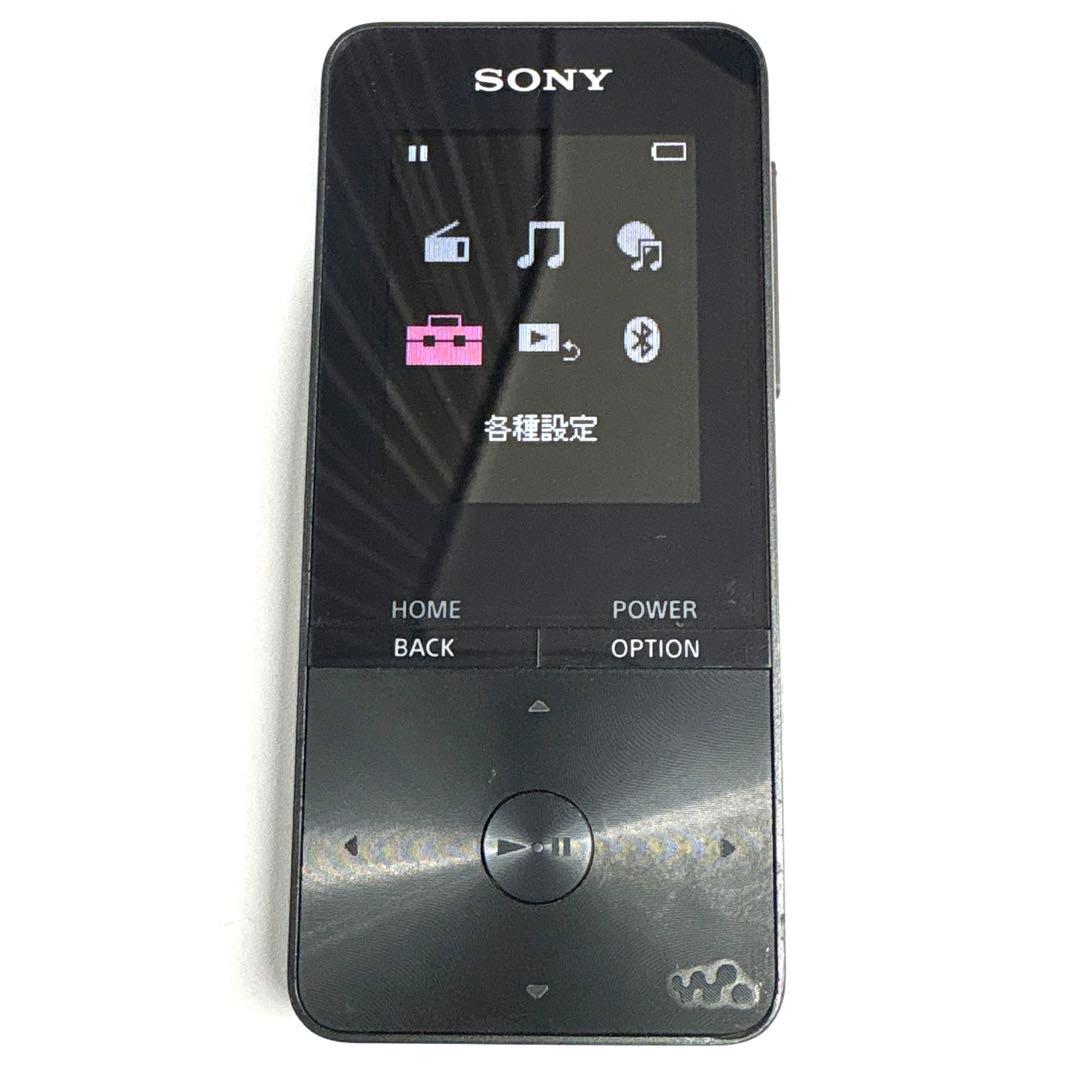 Sony Digital Audio Players Nw-S313Sony