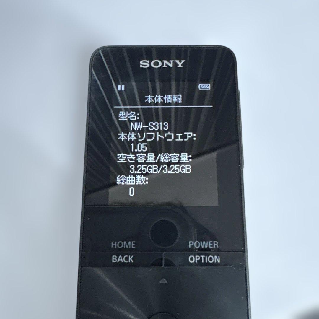Sony Digital Audio Players Nw-S313Sony