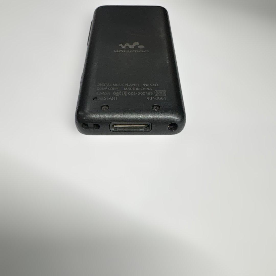 Sony Digital Audio Players Nw-S313Sony