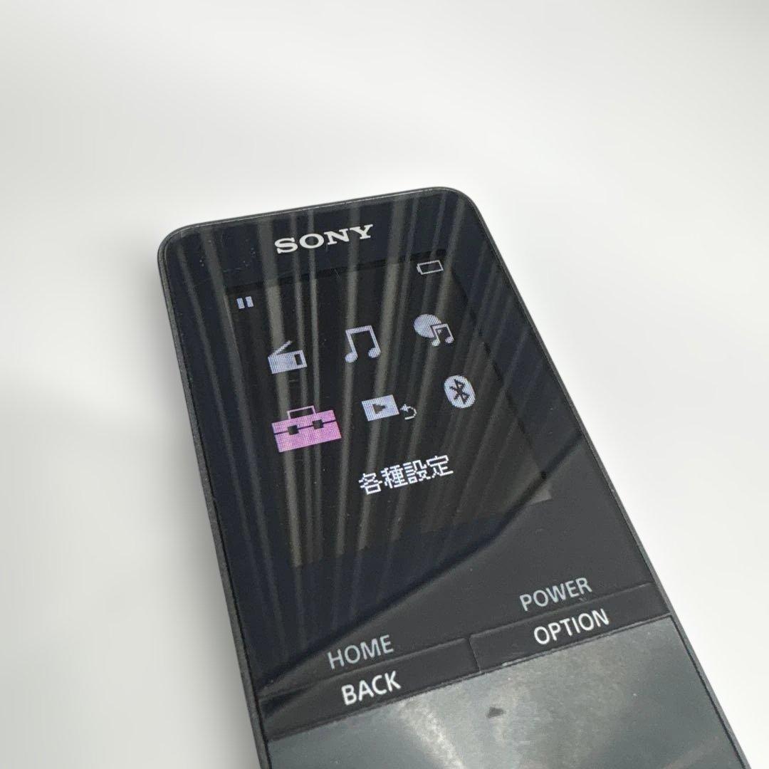 Sony Digital Audio Players Nw-S313Sony