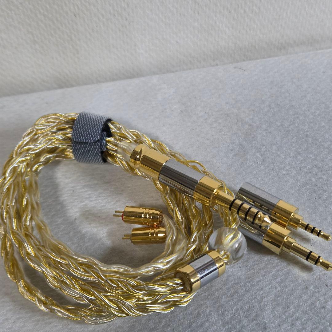 Recableable Earphones Epz 530 5Ba Iem
