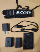 Sony Mirrorless Interchangeable Lens Cameras 7 2