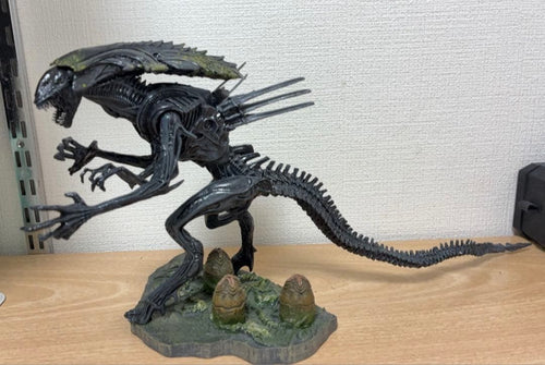 Sci Fi, Fantasy Horror