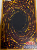 Yu-Gi-Oh! Ocg Duel Monsters (Japanese) Sm51