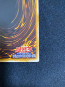 Yu-Gi-Oh! Ocg Duel Monsters (Japanese) Sm51