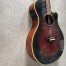 Yamaha Acoustic Guitars Apx-4A