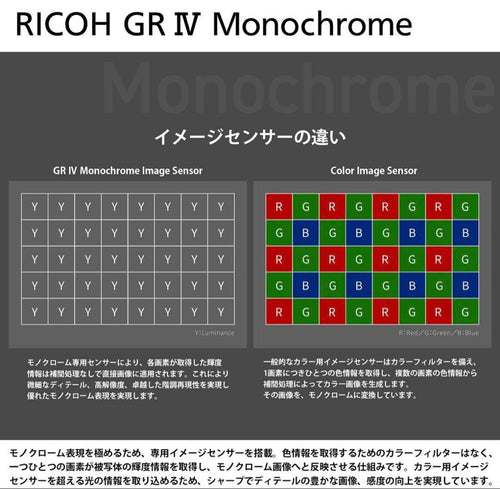 Ricoh Compact Digital Camera Gr Iv Monochrome 1