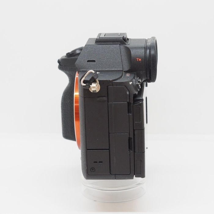 Sony Others 7R V