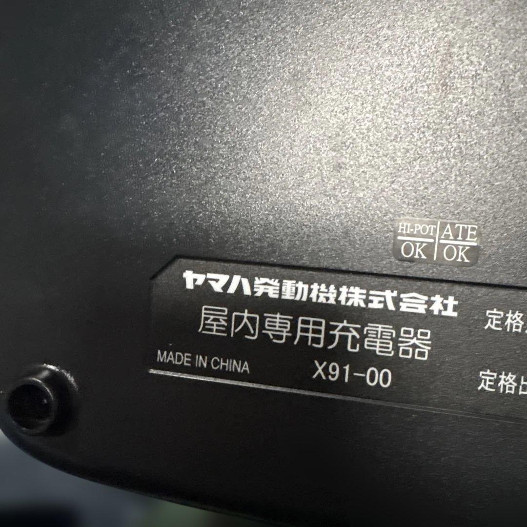 Yamaha Charger X91-00