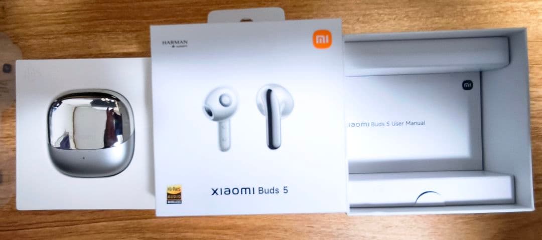 Xiaomi Other Buds 5