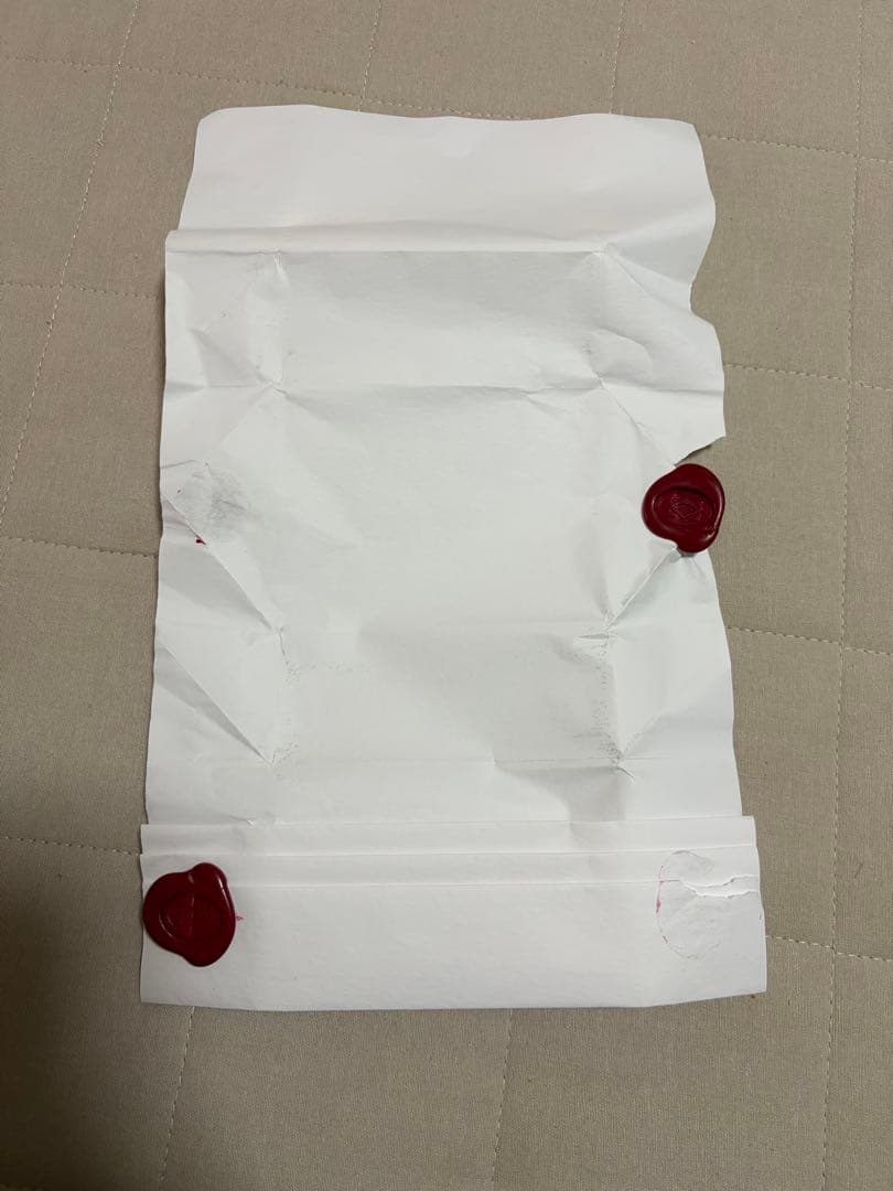 Cartier Shopping Bags