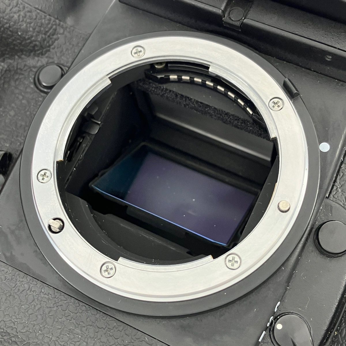 Nikon Slr Camera (Film) F5