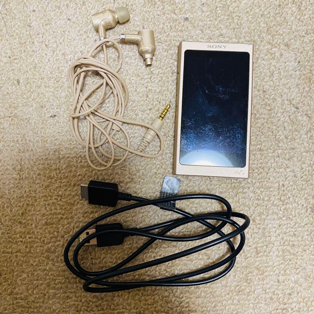 Sony Digital Audio Player Walkman Nw-A40 32Gb