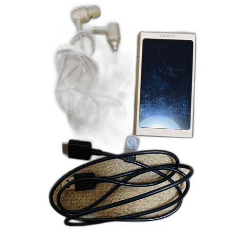 Sony Digital Audio Player Walkman Nw-A40 32Gb
