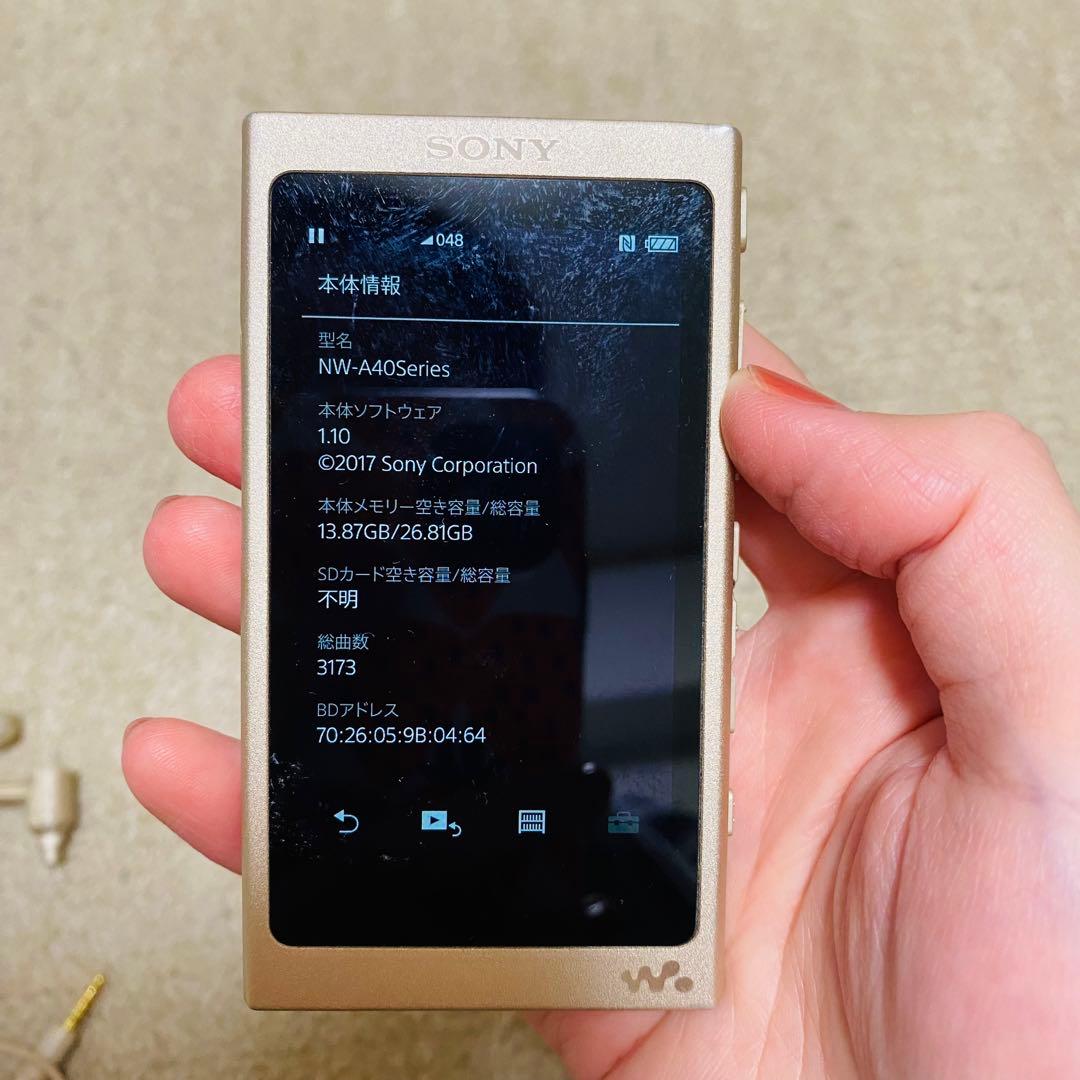 Sony Digital Audio Player Walkman Nw-A40 32Gb