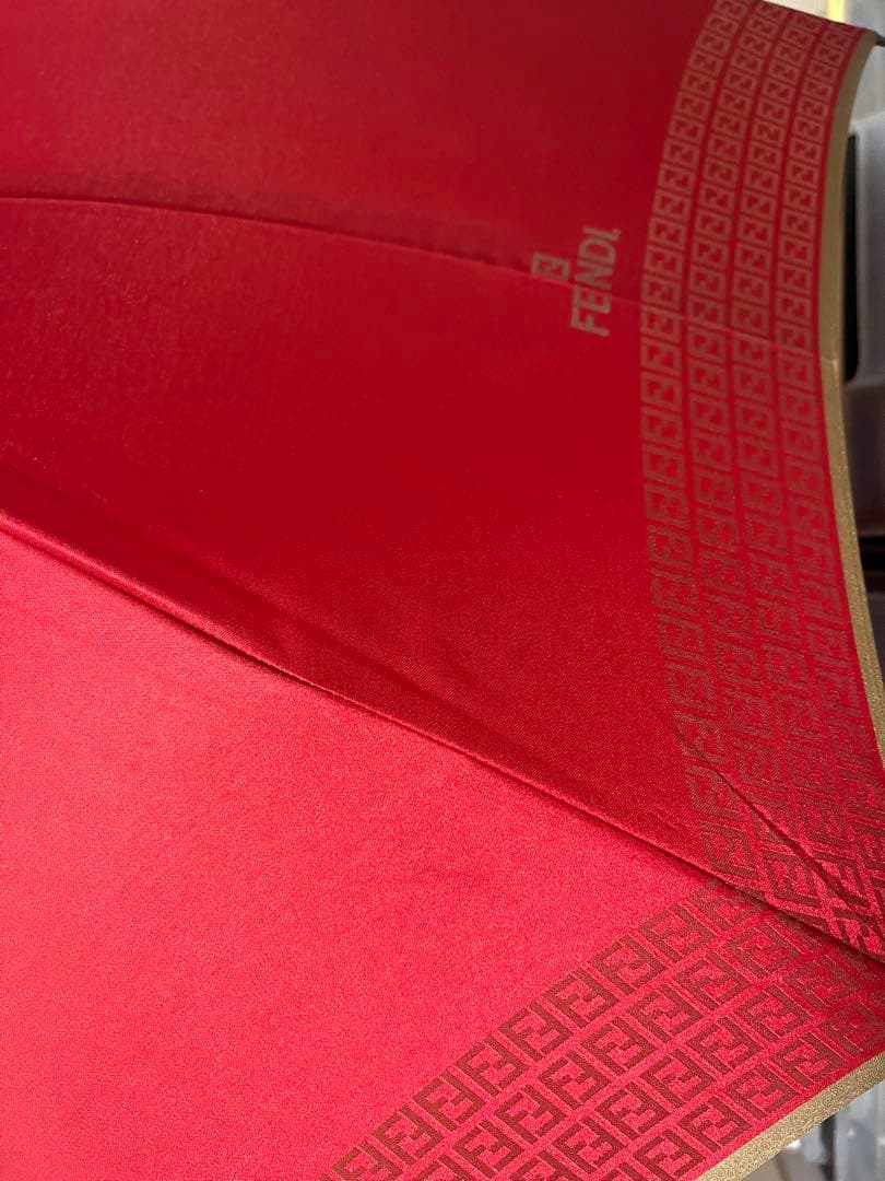 Fendi Rain Umbrellas