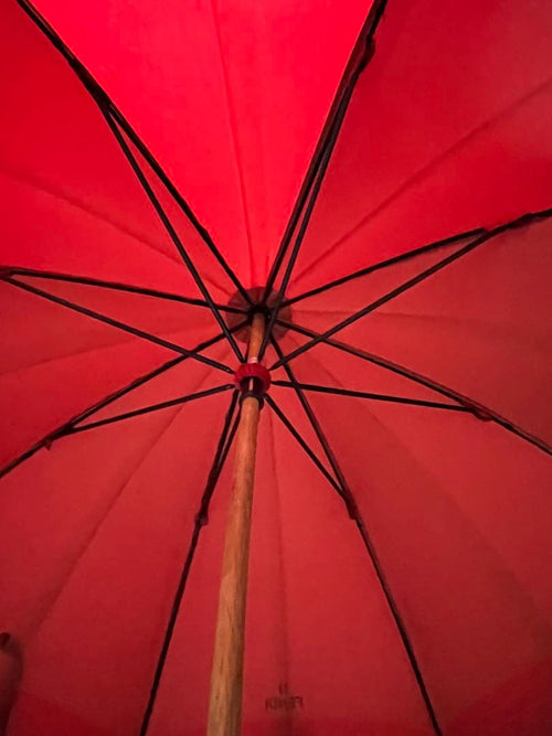 Fendi Rain Umbrellas