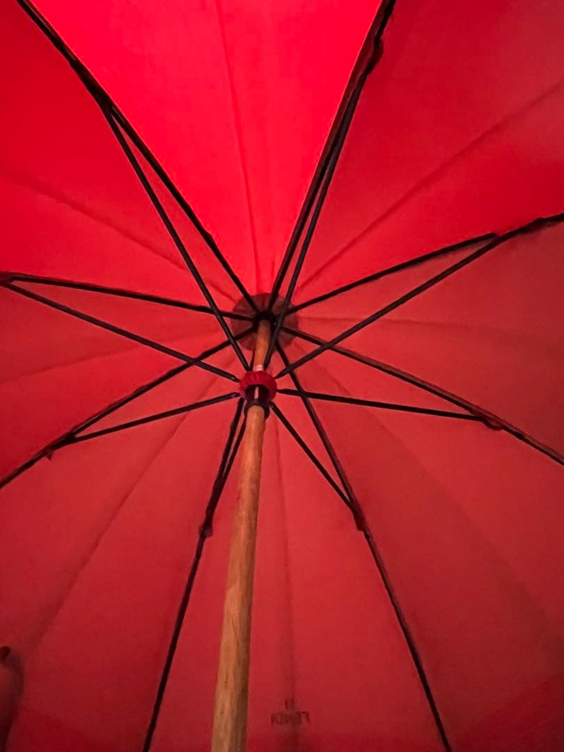 Fendi Rain Umbrellas