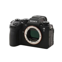 Sony Mirrorless Interchangeable Lips 9Iii Ilce-9M3 262