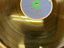 Japanese Music Oasis C25R0030 1979 Lp
