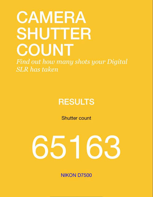 Nikon Slr Camera (Film) D7500 Ok 3