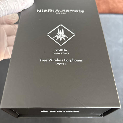 Other Nier:Automata 2B Version