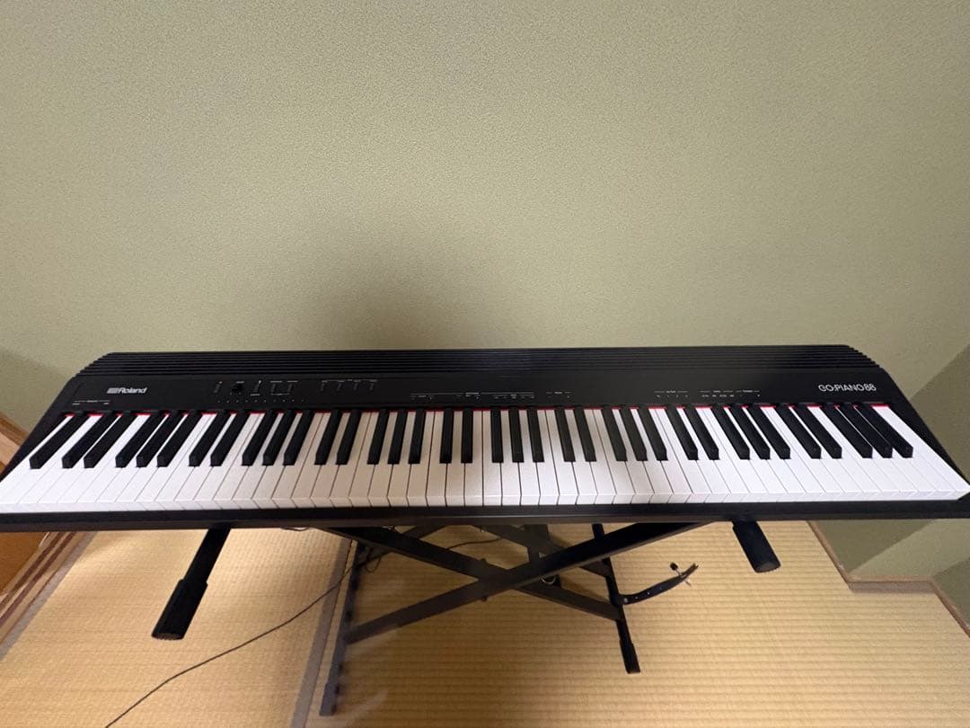 Roland Keyboards Digital Pianos Go:Piano 88P 2024