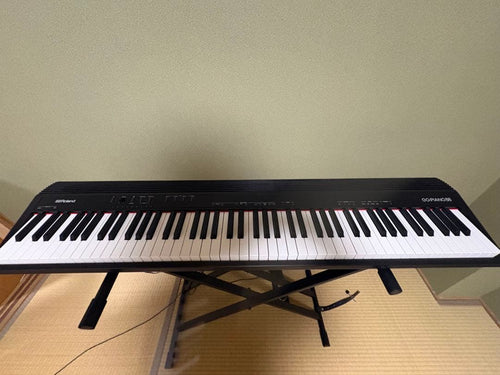 Roland Keyboards Digital Pianos Go:Piano 88P 2024