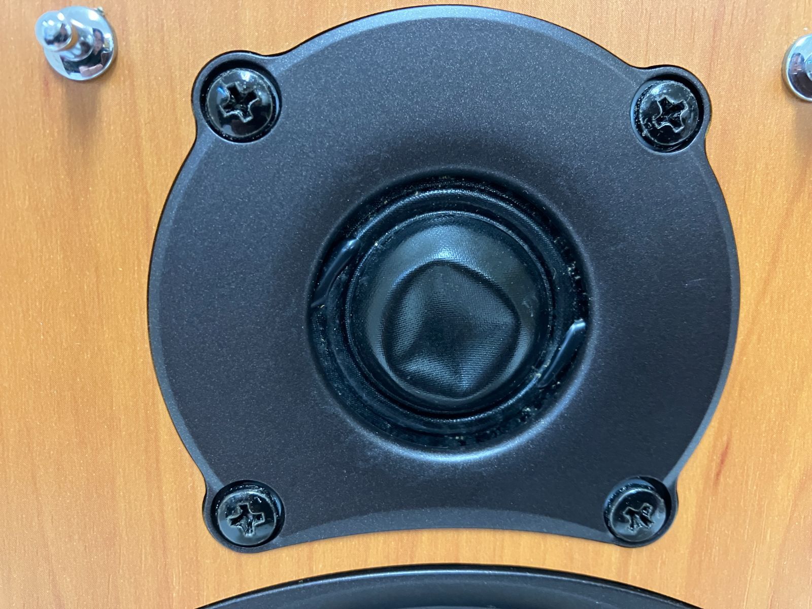 Onkyo Speaker D02Gx