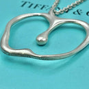 Tiffany Necklaces