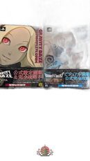 Game Capture Book Gravity Daze 2
