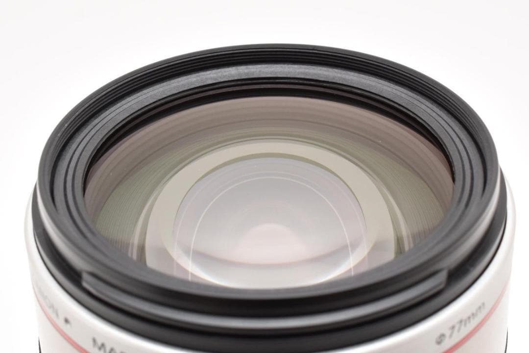 Canon Zoom Lenses Ef 28-300Mm F/3.5-5.6 L Is Usm