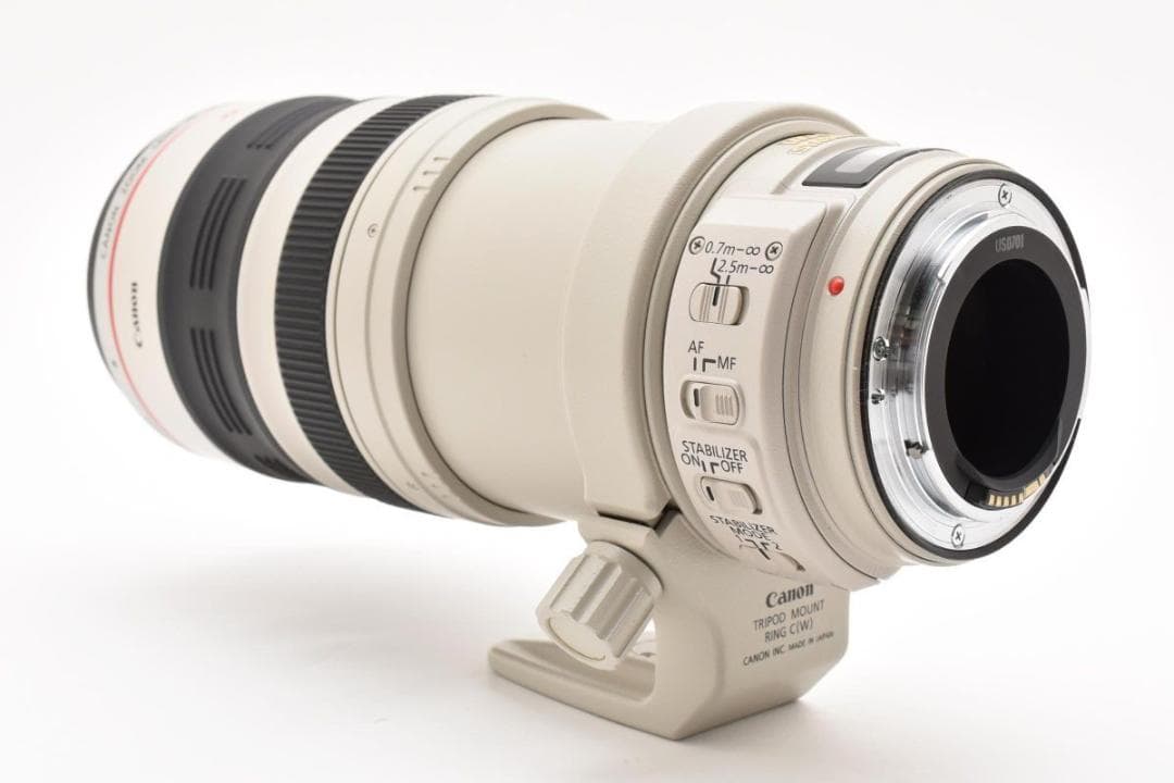 Canon Zoom Lenses Ef 28-300Mm F/3.5-5.6 L Is Usm