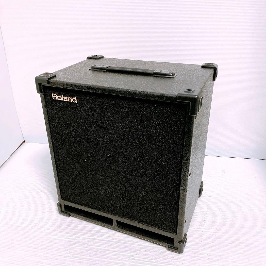 Roland Subwoofer Sa-300W