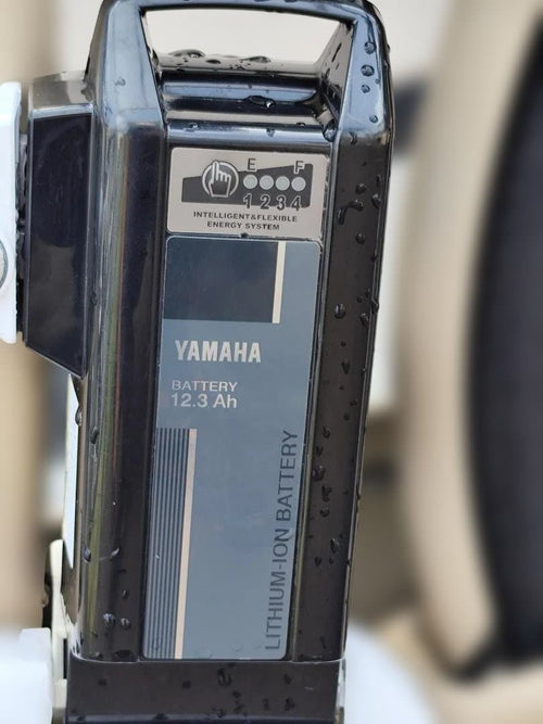 Yamaha City-Style Bicycles Ami 2021 12.3Ah