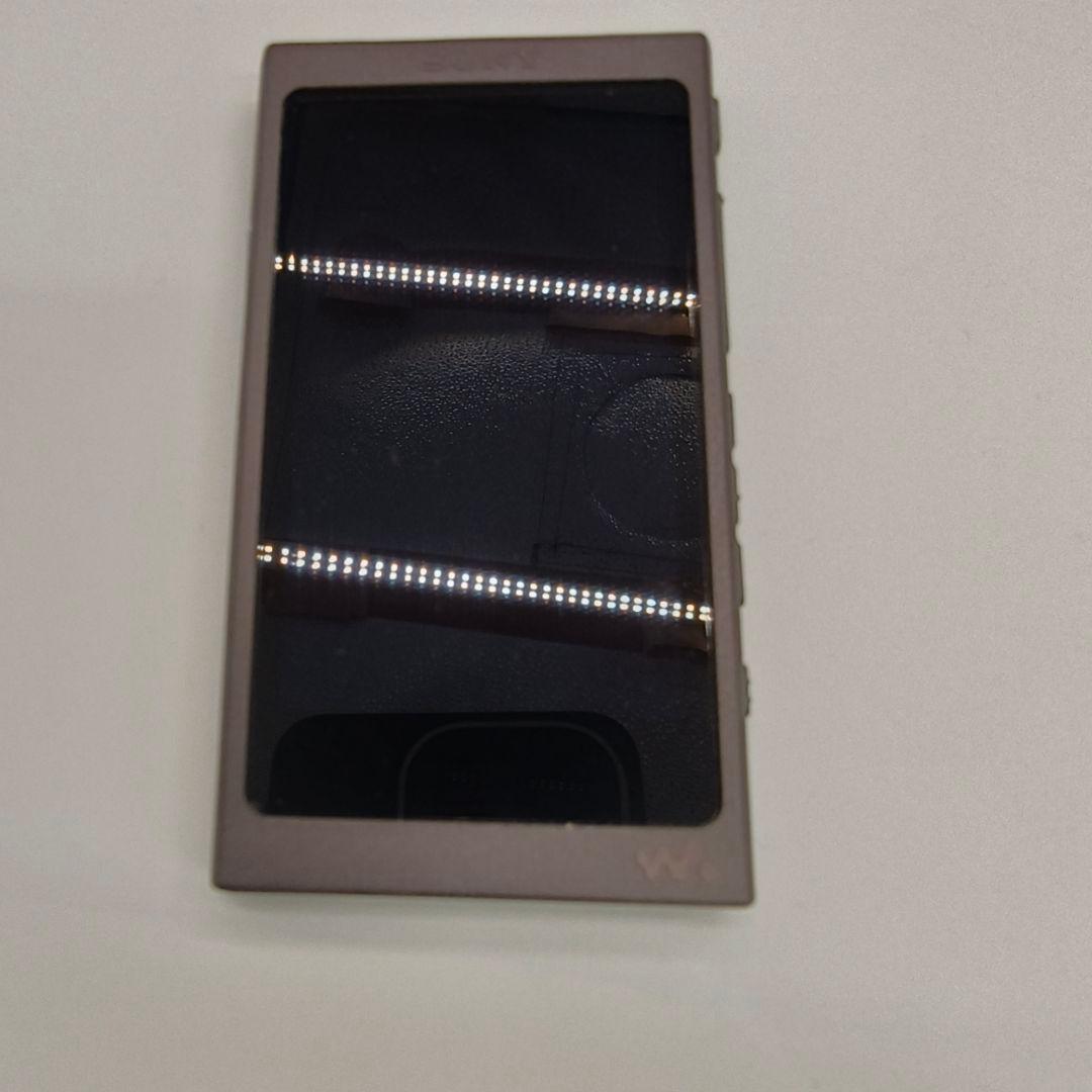 Sony Digital Audio Players Nw-A45