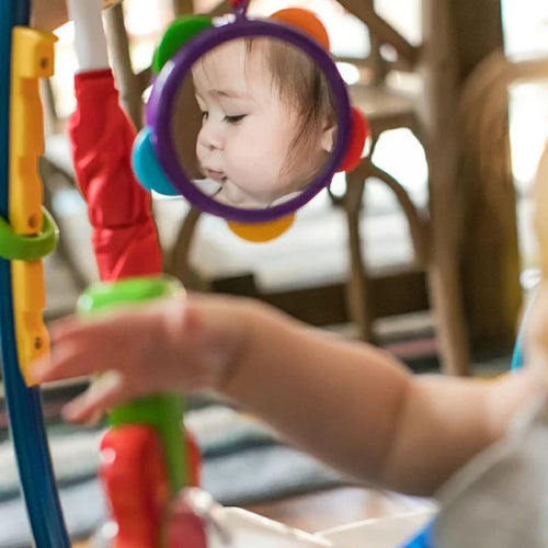 Baby Einstein Gyms Kids2