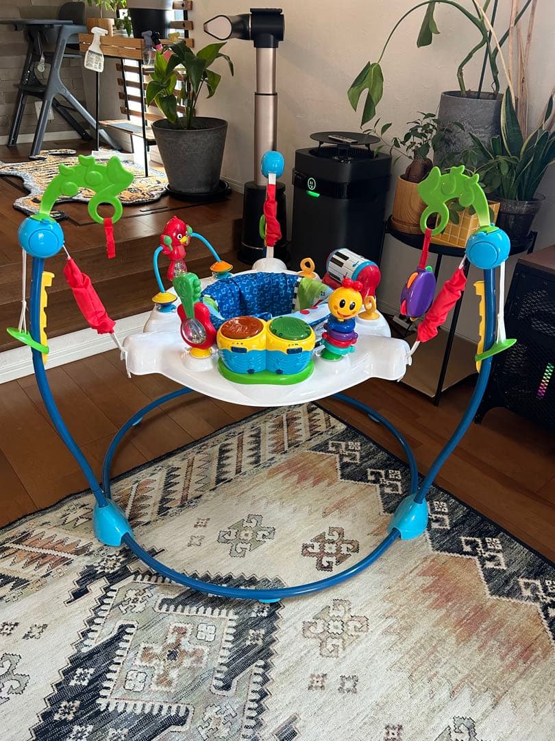 Baby Einstein Gyms Kids2