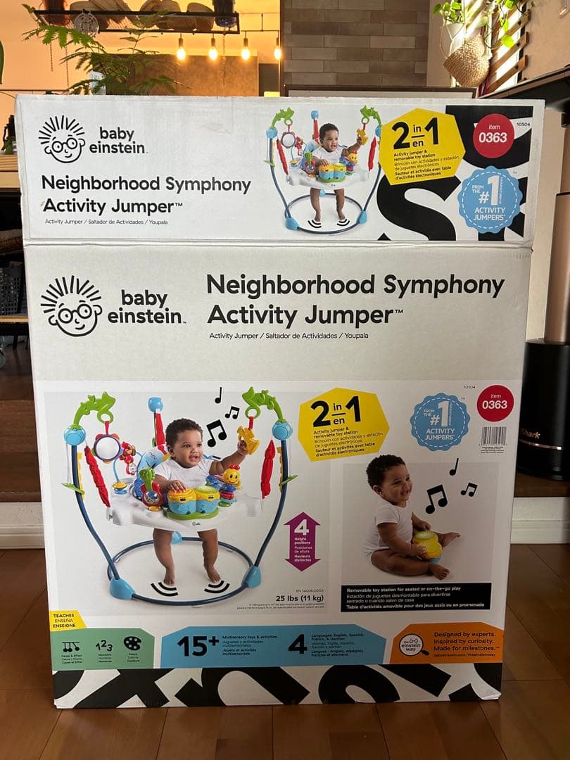 Baby Einstein Gyms Kids2