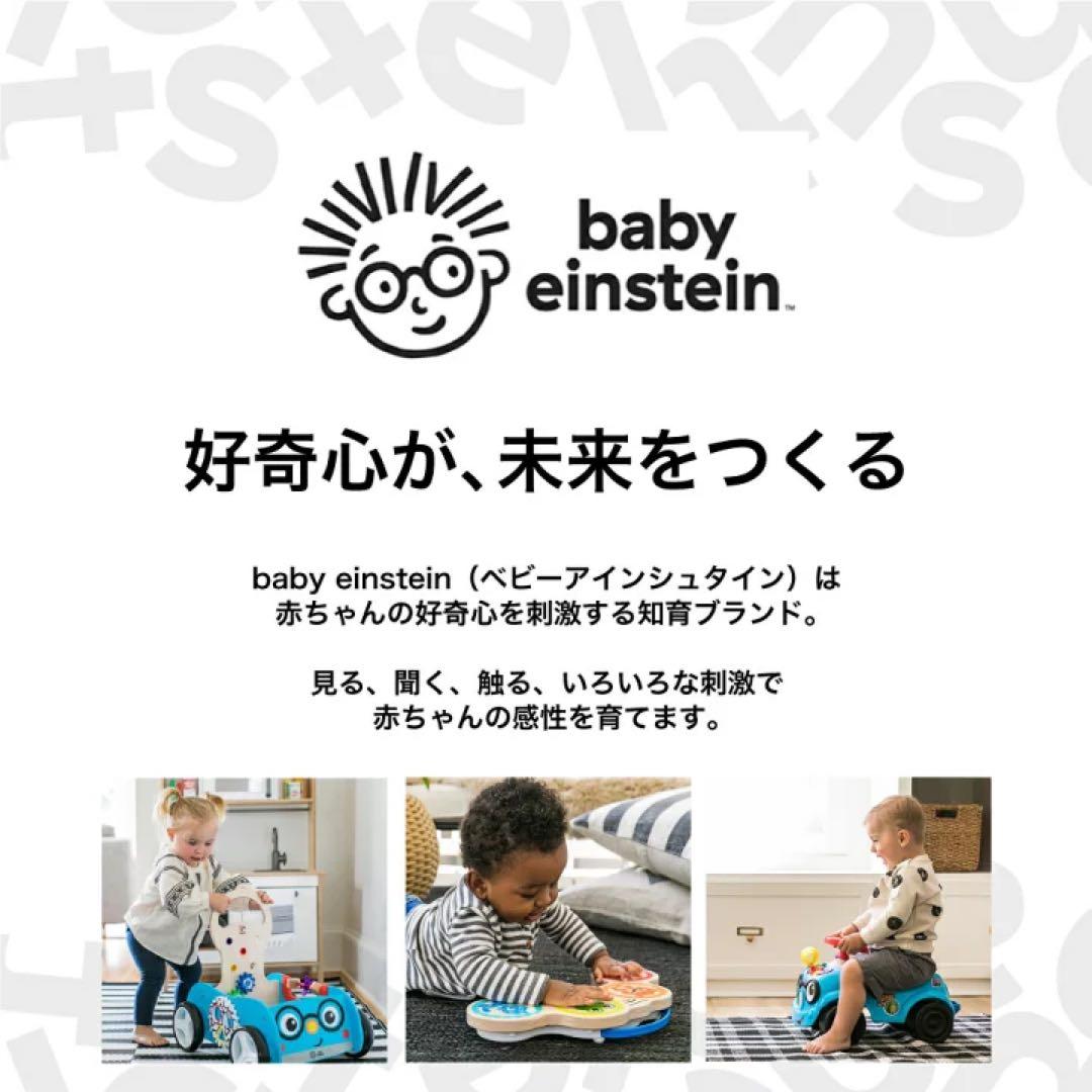 Baby Einstein Gyms Kids2