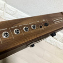 Casio Analog Synthesizers Casiotone501