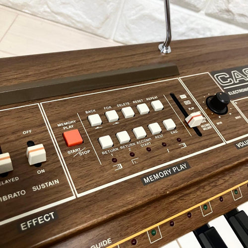 Casio Analog Synthesizers Casiotone501