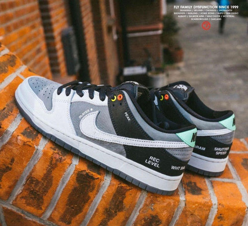 Nike Sb Sneakers Dunk Low Pro "Vx1000 Camcorder"