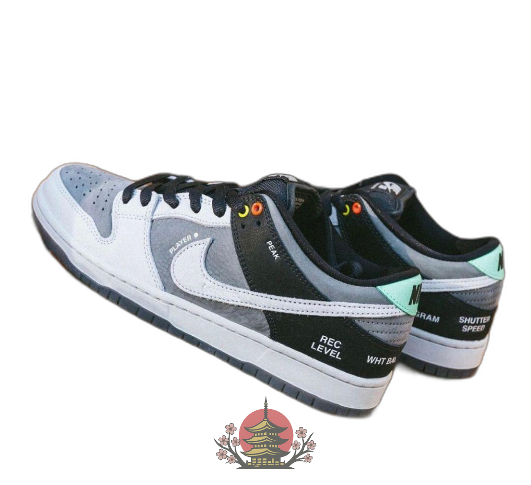 Nike Sb Sneakers Dunk Low Pro "Vx1000 Camcorder"
