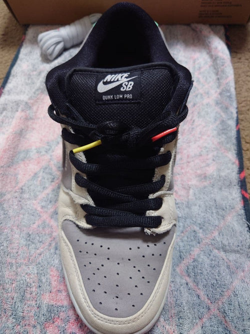 Nike Sb Sneakers Dunk Low Pro "Vx1000 Camcorder"