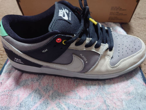 Nike Sb Sneakers Dunk Low Pro "Vx1000 Camcorder"